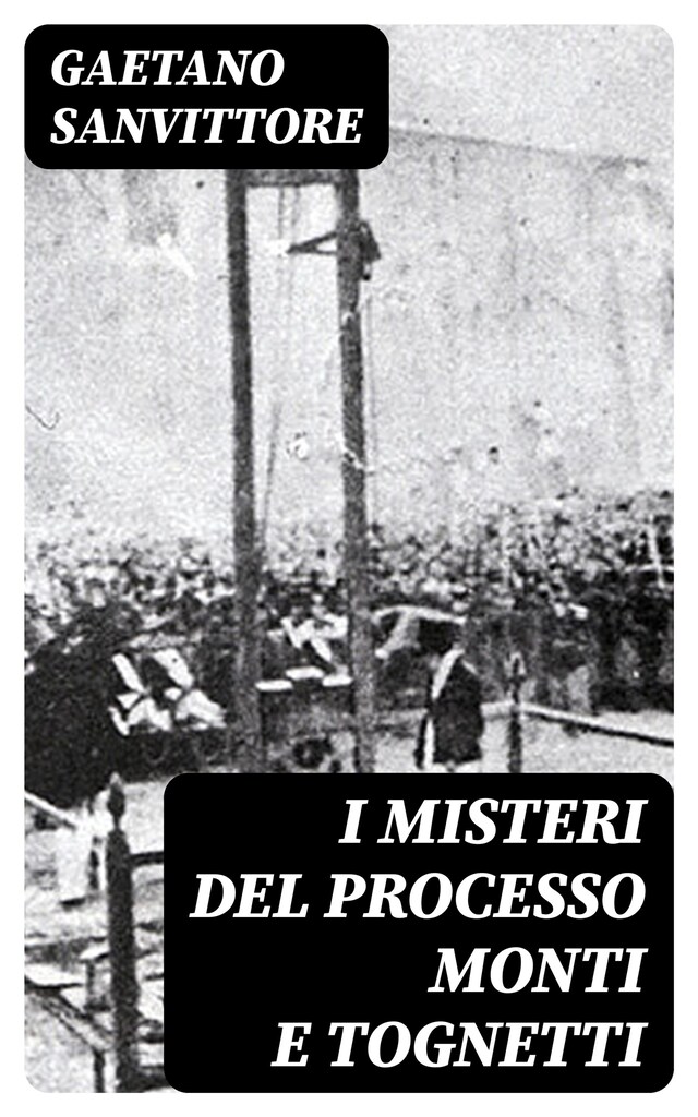 Bokomslag for I misteri del processo Monti e Tognetti