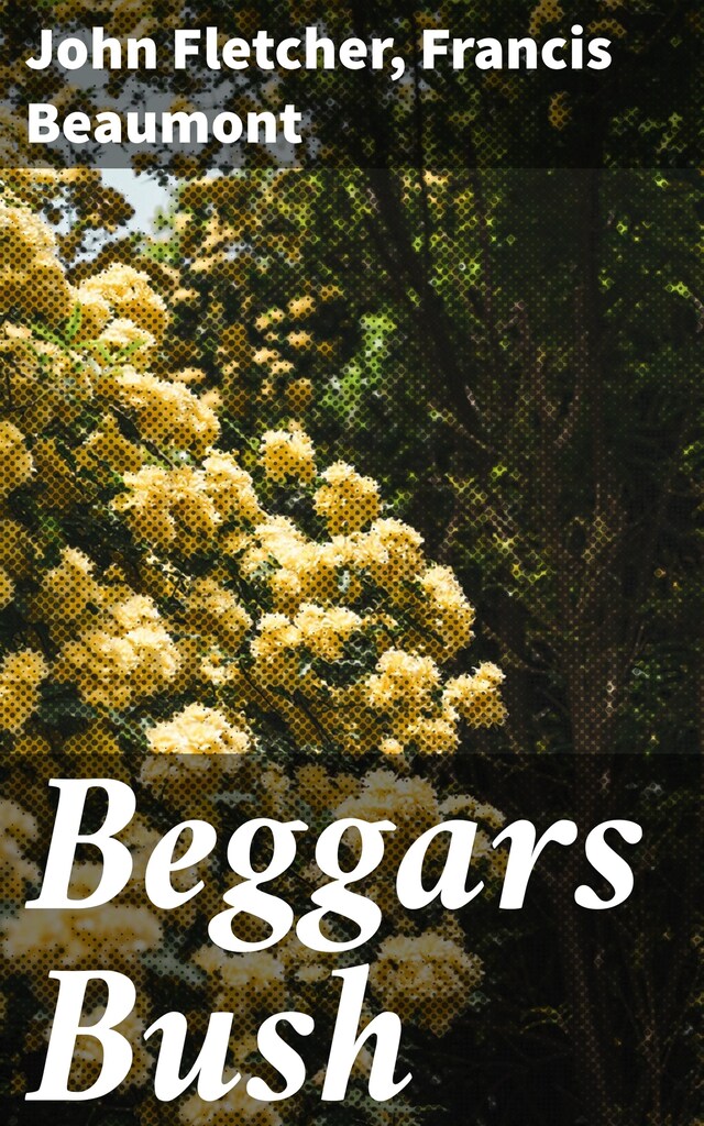 Buchcover für Beggars Bush