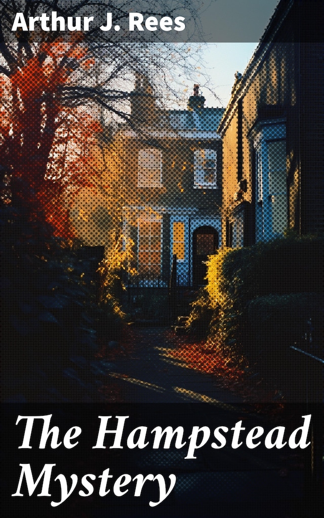 Book cover for The Hampstead Mystery