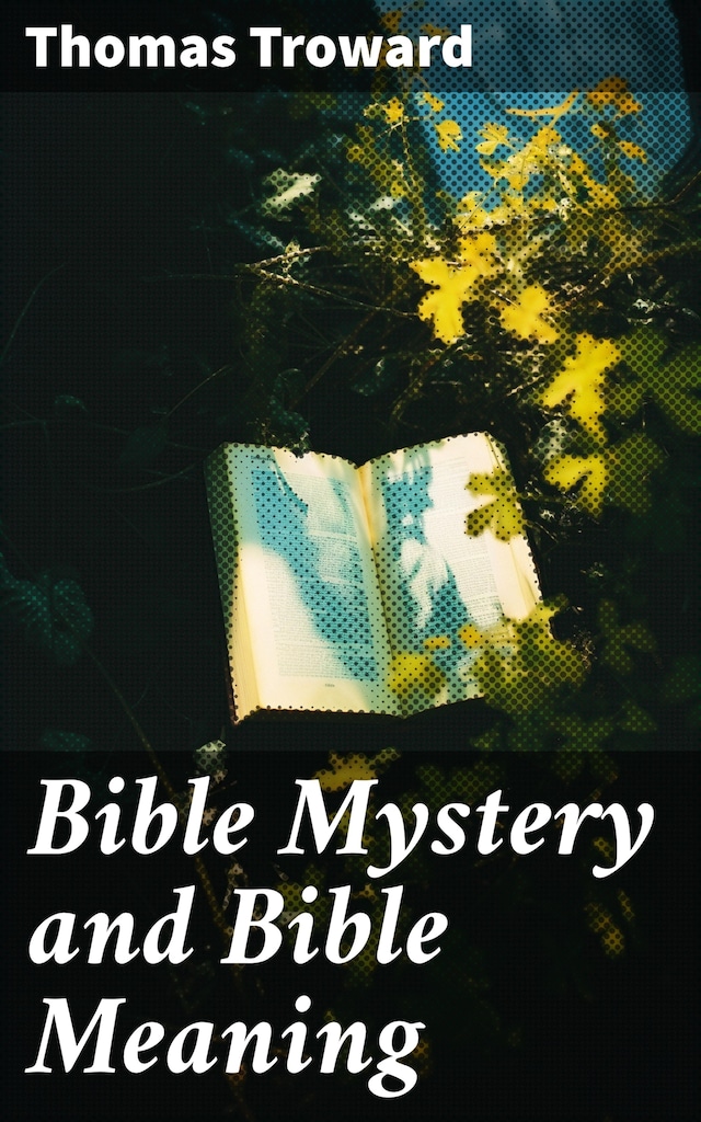 Buchcover für Bible Mystery and Bible Meaning