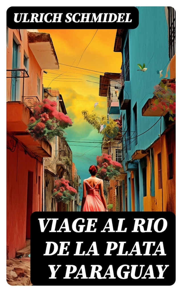 Portada de libro para Viage al Rio de La Plata y Paraguay