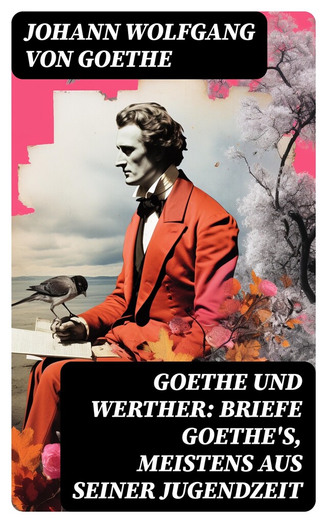 Portada de libro para Goethe und Werther: Briefe Goethe's, meistens aus seiner Jugendzeit