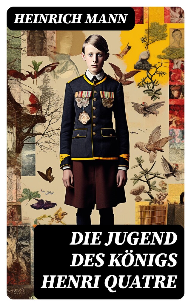 Book cover for Die Jugend des Königs Henri Quatre