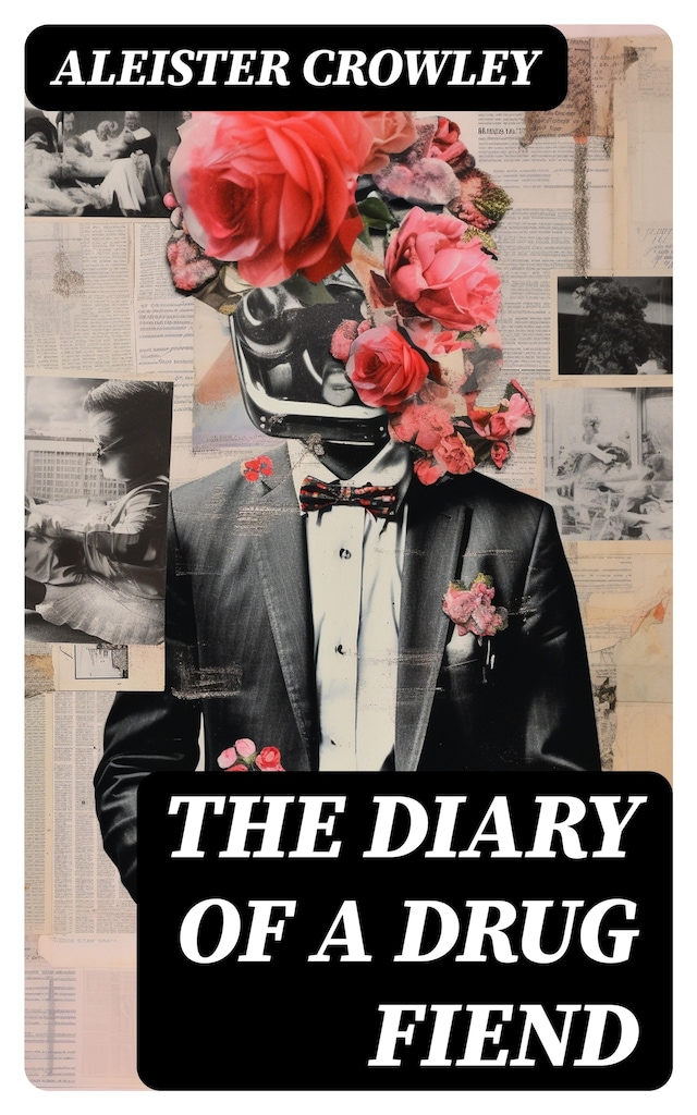 Boekomslag van The Diary of a Drug Fiend