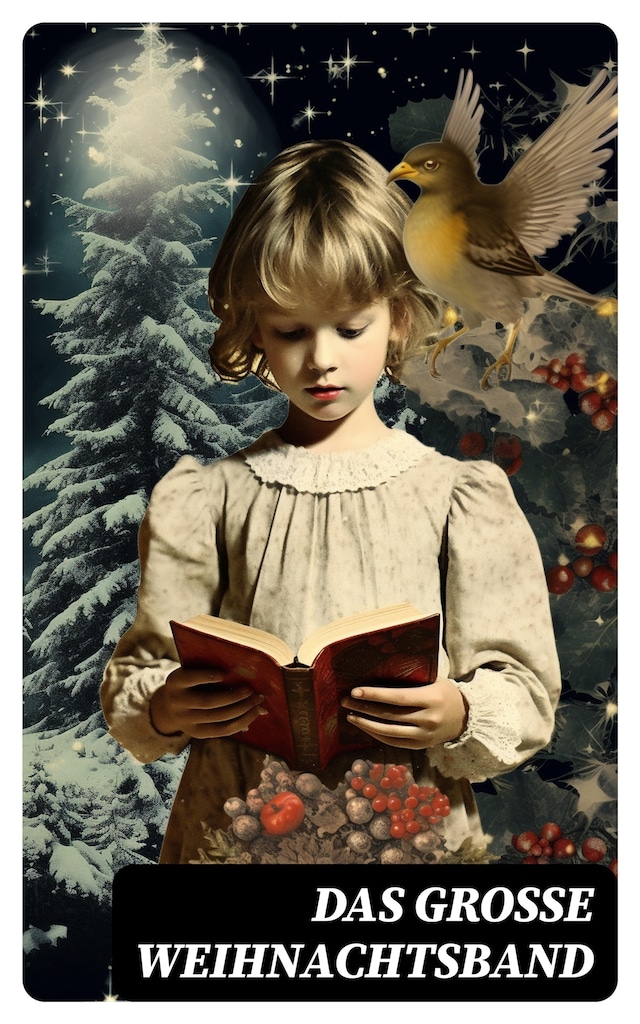 Book cover for Das große Weihnachtsband