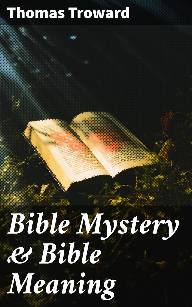 Book cover for Bible Mystery & Bible Meaning