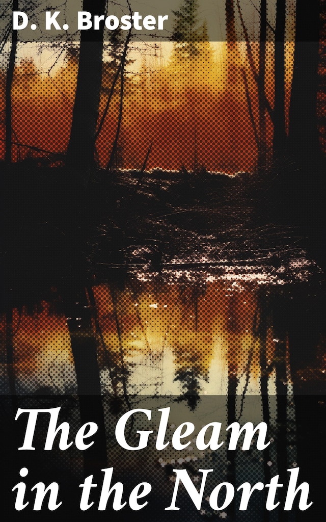 Book cover for The Gleam in the North