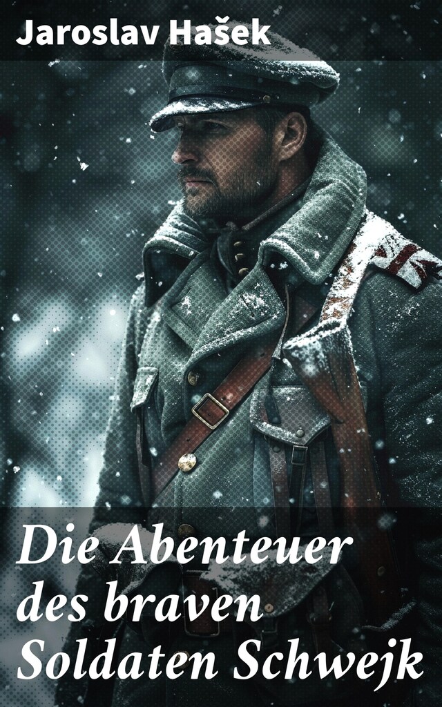 Book cover for Die Abenteuer des braven Soldaten Schwejk