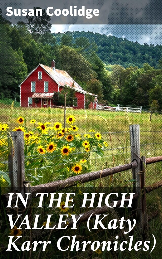 Book cover for IN THE HIGH VALLEY (Katy Karr Chronicles)