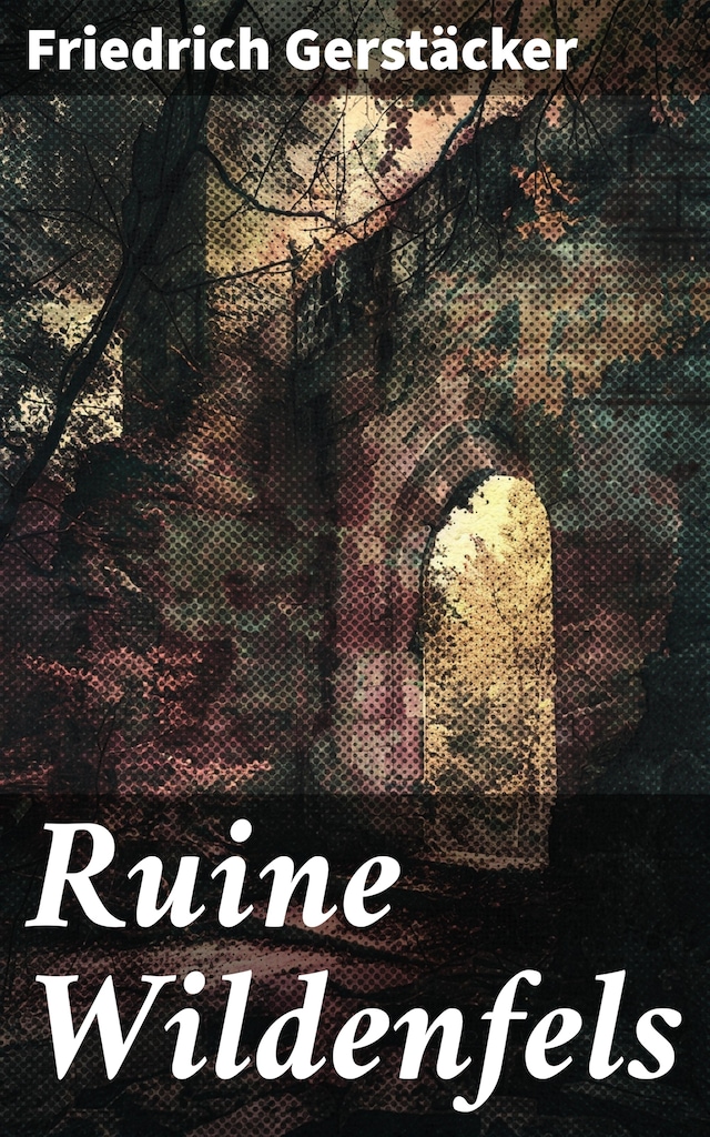 Book cover for Ruine Wildenfels