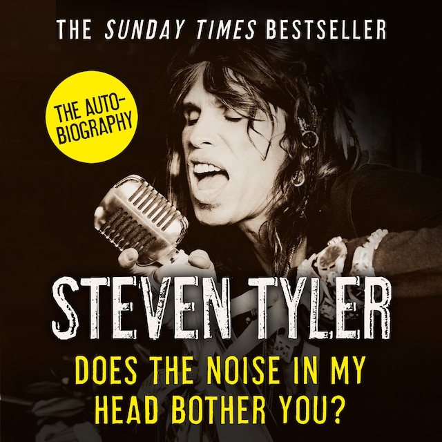 Couverture de livre pour Does the Noise in my Head Bother You?