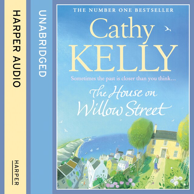 Book cover for The House on Willow Street