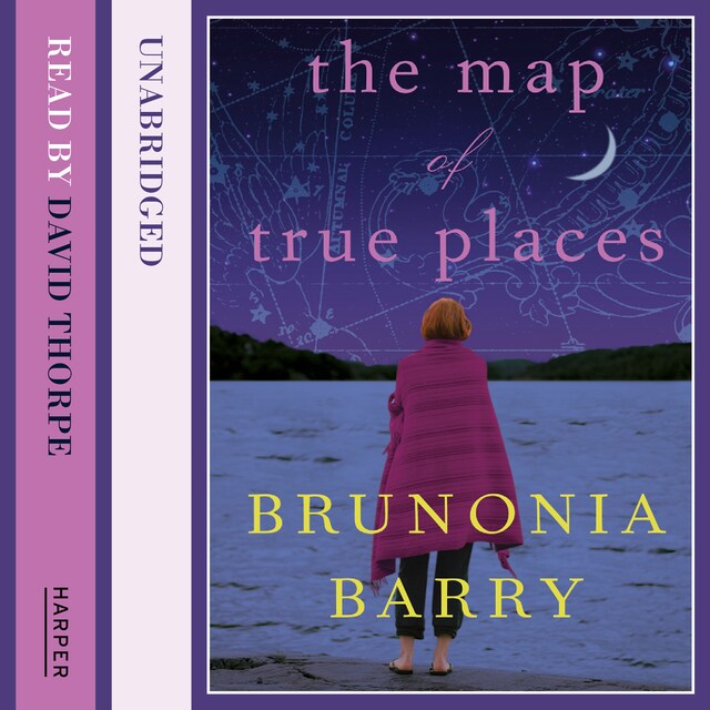 Book cover for The Map of True Places