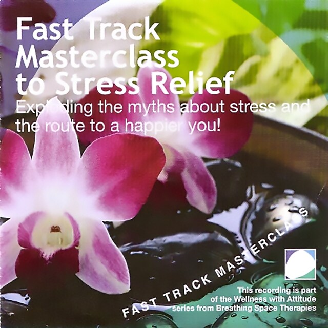 Book cover for Fast track masterclass to stress relief