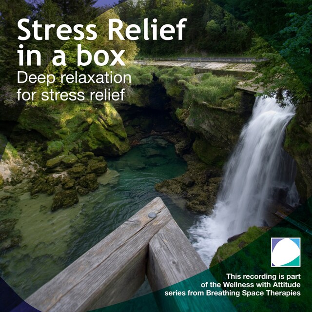 Couverture de livre pour Stress relief in a box