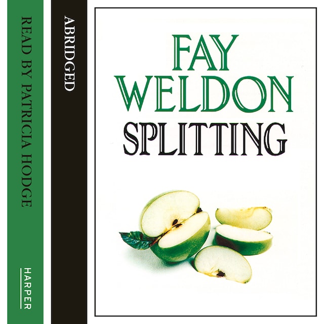 Book cover for Splitting