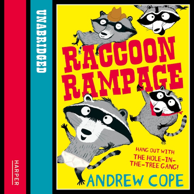 Book cover for Raccoon Rampage