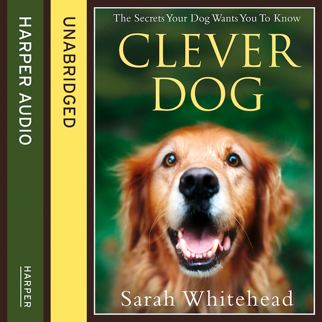 Book cover for Clever Dog