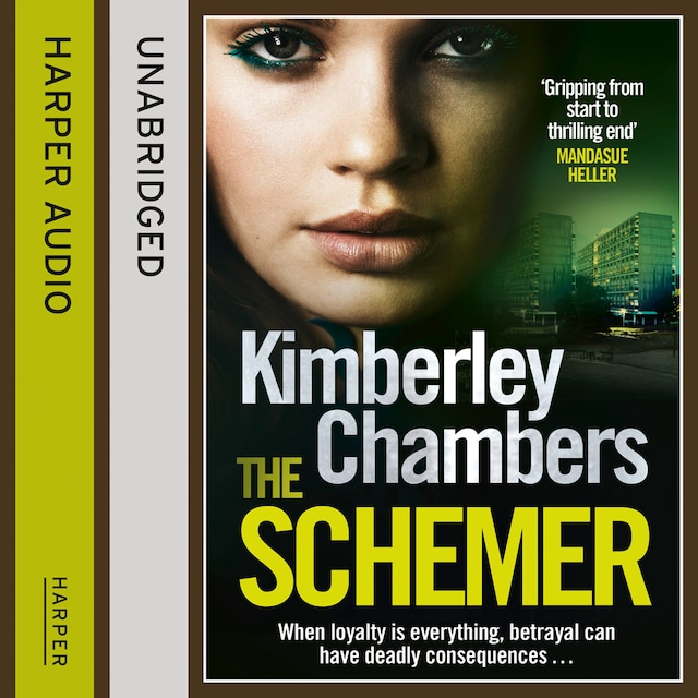 Copertina del libro per The Schemer