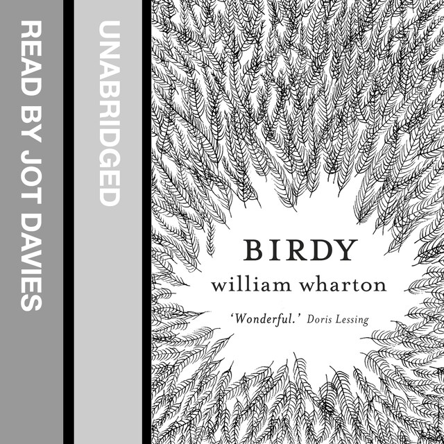 Buchcover für Birdy