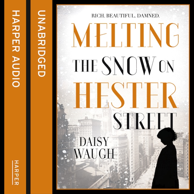 Couverture de livre pour Melting the Snow on Hester Street