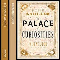 The Palace of Curiosities