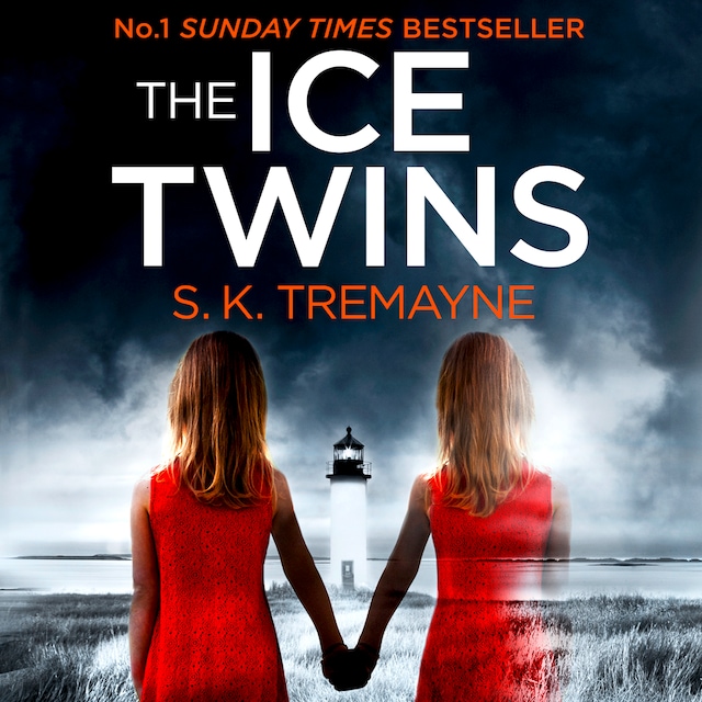 Buchcover für The Ice Twins