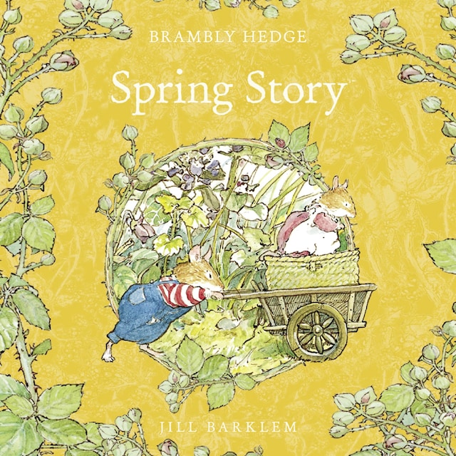 Book cover for Spring Story
