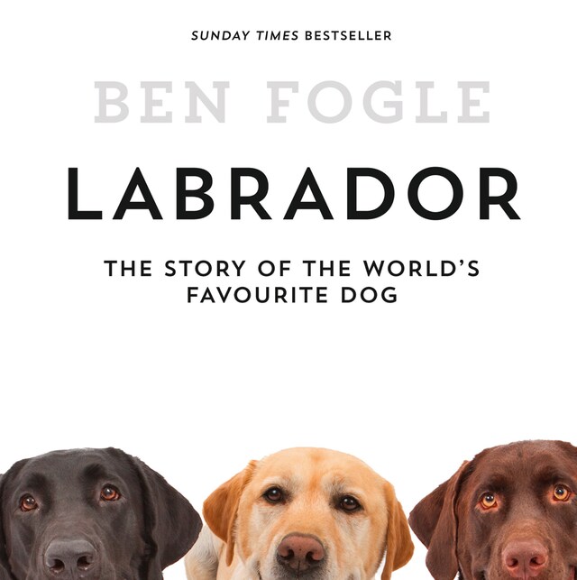 Book cover for Labrador