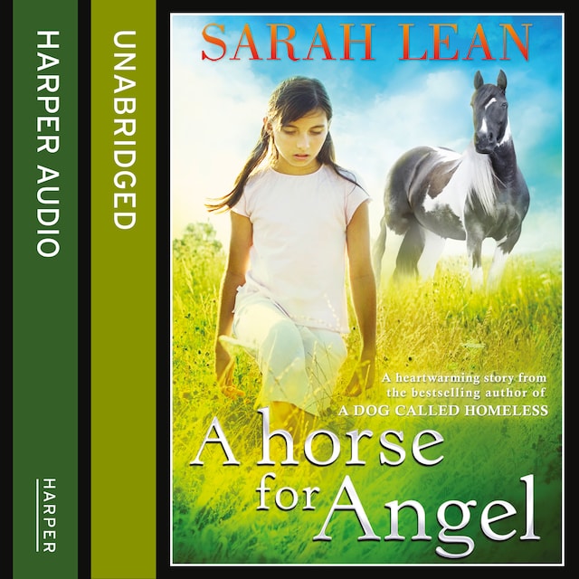 Buchcover für A Horse for Angel