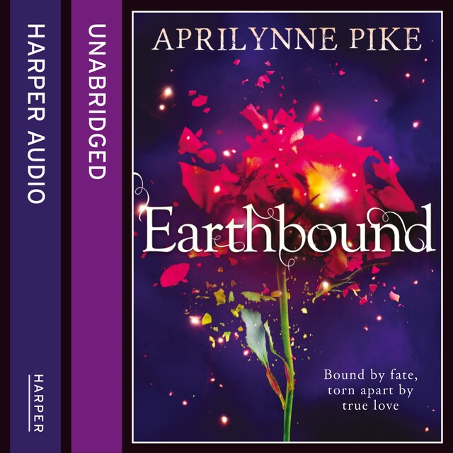 Buchcover für Earthbound