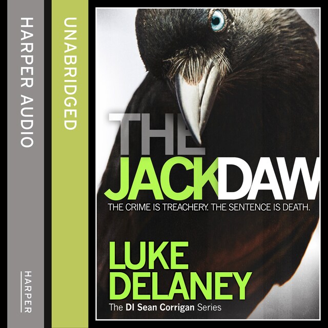 Book cover for The Jackdaw