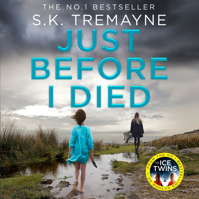 Book cover for Just Before I Died