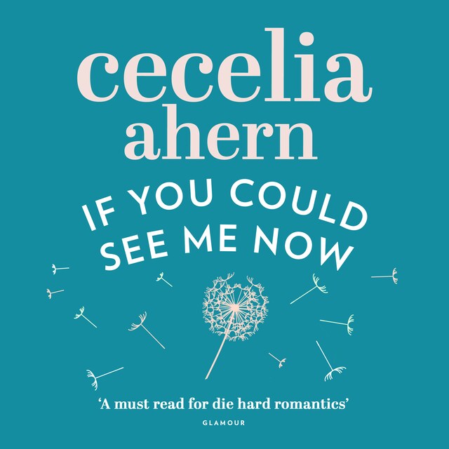 Book cover for If You Could See Me Now