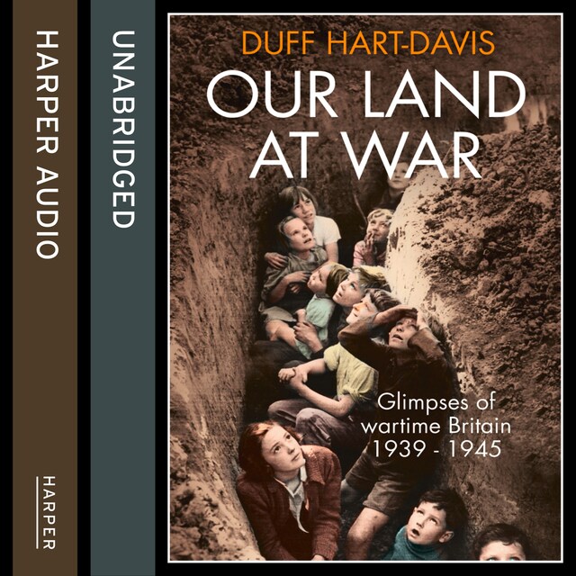 Book cover for Our Land at War