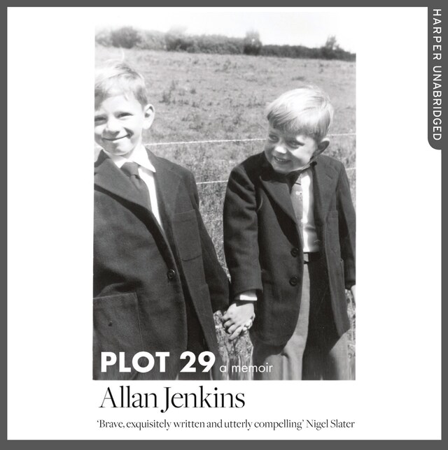 Book cover for Plot 29