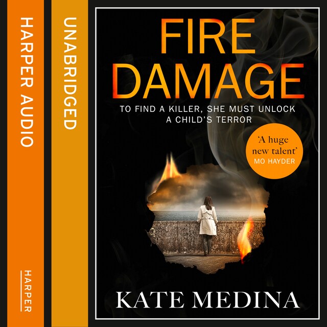 Book cover for Fire Damage