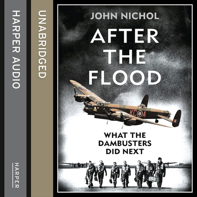 Buchcover für After the Flood