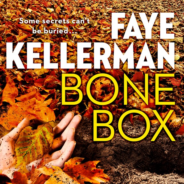 Book cover for Bone Box