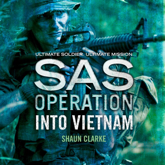 Buchcover für Into Vietnam