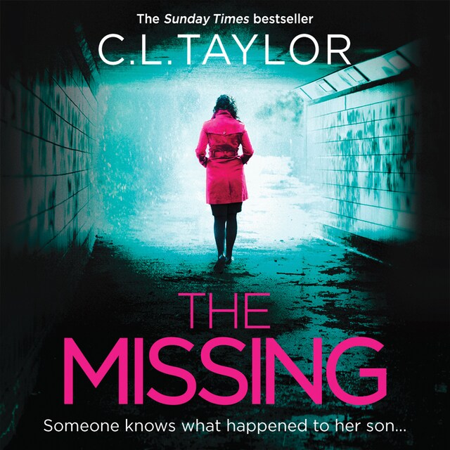 Book cover for The Missing