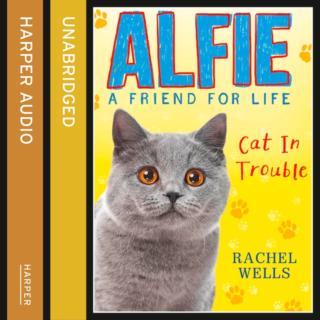Book cover for Alfie Cat In Trouble