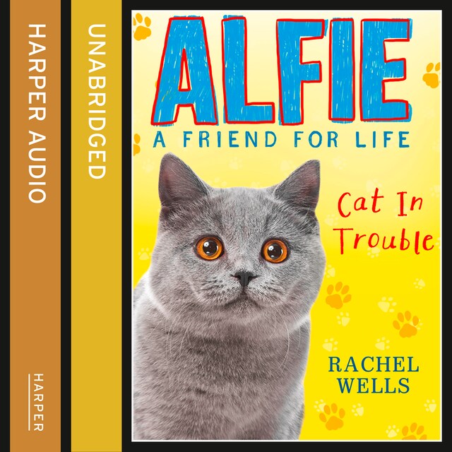 Book cover for Alfie Cat In Trouble