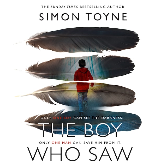 Book cover for The Boy Who Saw