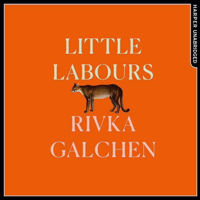 Book cover for Little Labours