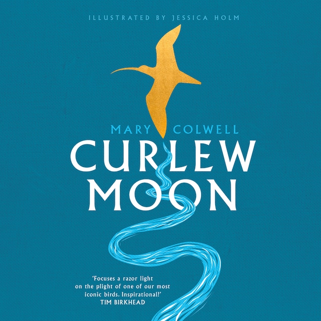 Book cover for Curlew Moon