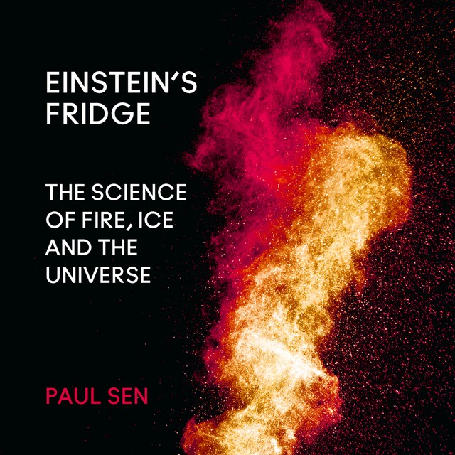 Buchcover für Einstein’s Fridge