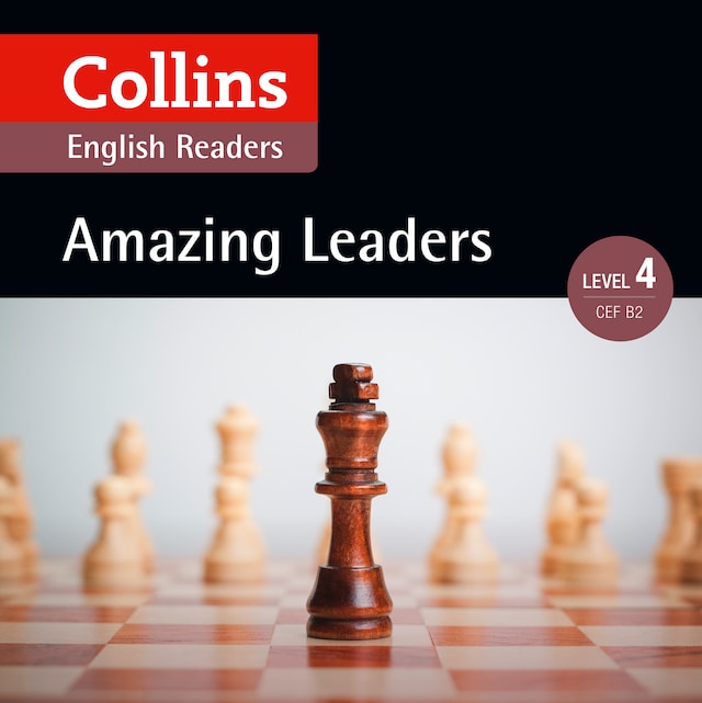 Book cover for Amazing Leaders