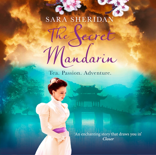 Book cover for The Secret Mandarin