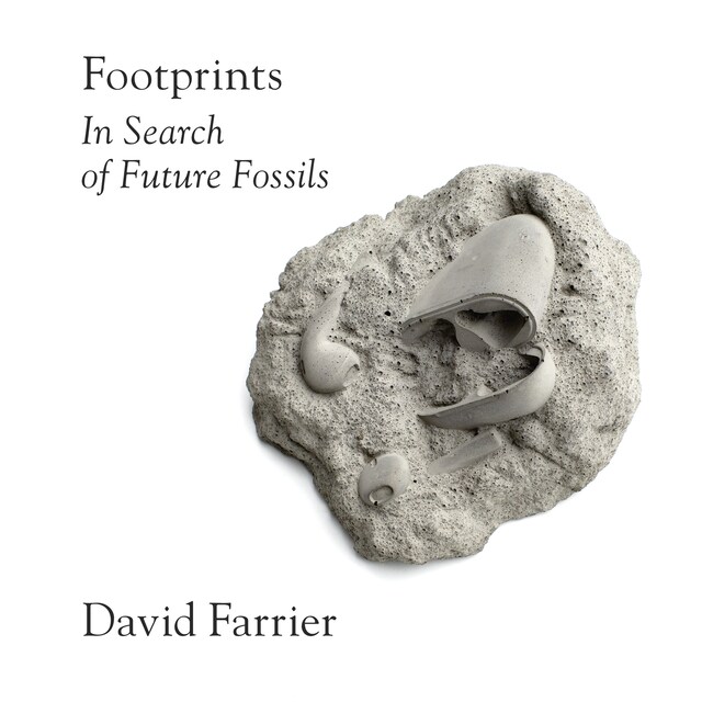 Buchcover für Footprints
